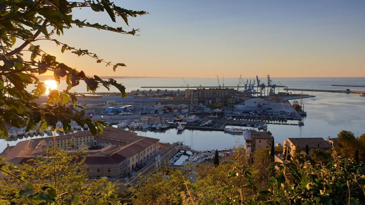 Anconabed Panzió Kültér fotó